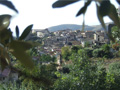Civita - Panorama