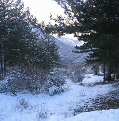 piani di novacco